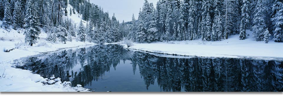 Tahoe Snow