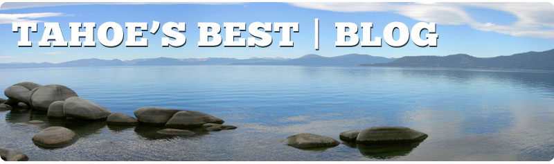 Dog Friendly Places In Lake Tahoe