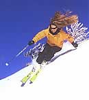 Ski Diamond Peak Speed Skier