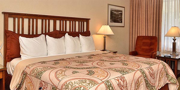 guest room at the Best Western Station House Inn guest room at the Best Western Station House Inn