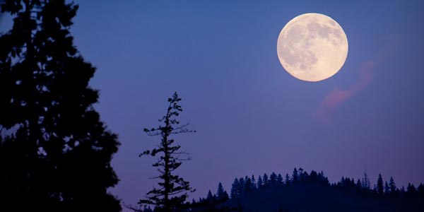 Peak of the Rim Full Moon Hike