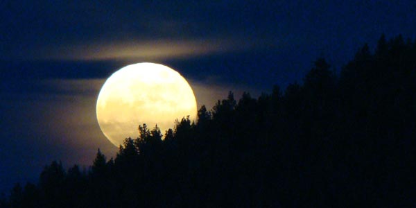 TRTA Full Moon Hike TRTA Full Moon Hike