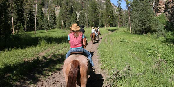 Alpine Meadows Stables Horseback Riding Tahoe City California