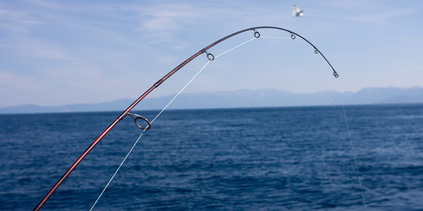 Blue Ribbon Fishing Charters Lake Tahoe