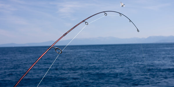 Blue Ribbon Fishing Charters Lake Tahoe Blue Ribbon Fishing Charters Lake Tahoe