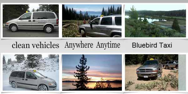 Bluebird Taxi Truckee Bluebird Taxi Truckee