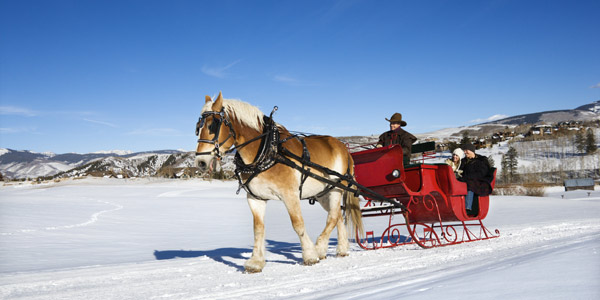 Sunset Sleigh Ride and Dinner Lake Tahoe CA