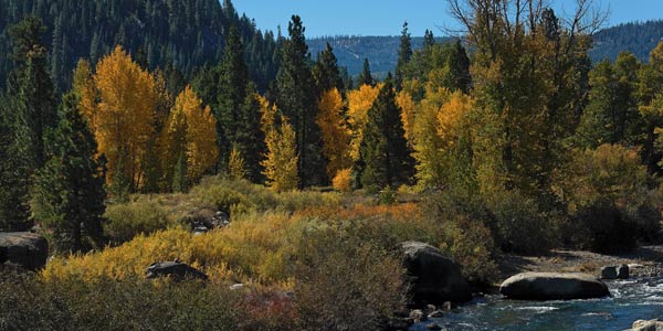 River Street Inn Truckee California