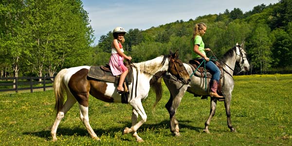 Zephyr Cove Stables