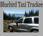 bluebird-1_A.jpg