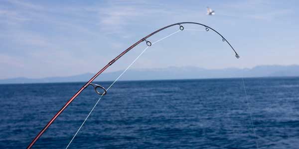 Fishing Lake Tahoe