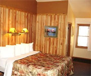 Standard Room Standard Room