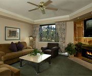 1 Bedroom Suite 1 Bedroom Suite