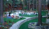 Deerfield Lodge at Heavenly Wedding