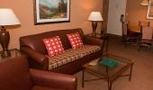 Forest Suites Resort Suite