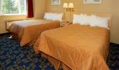 Rodeway Inn Casino Center Hotel Standard Two Queens