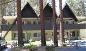 Lake Tahoe rentals