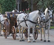 lake-tahoe-carriage-1_A.jpg