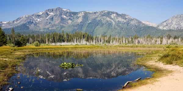 Tahoe Valley Campground